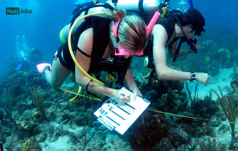 Do Marine Biologists Need to Go to College